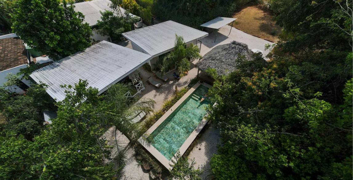 Antema Lodge Secteur Tamarindo, Piscine, Yoga, Gym, Jungle Et Paix Bagian luar foto