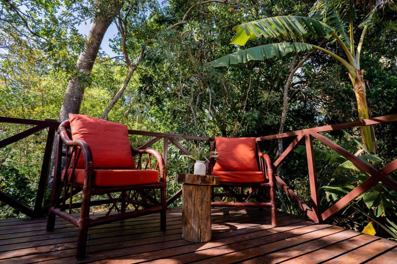 Antema Lodge Secteur Tamarindo, Piscine, Yoga, Gym, Jungle Et Paix Bagian luar foto